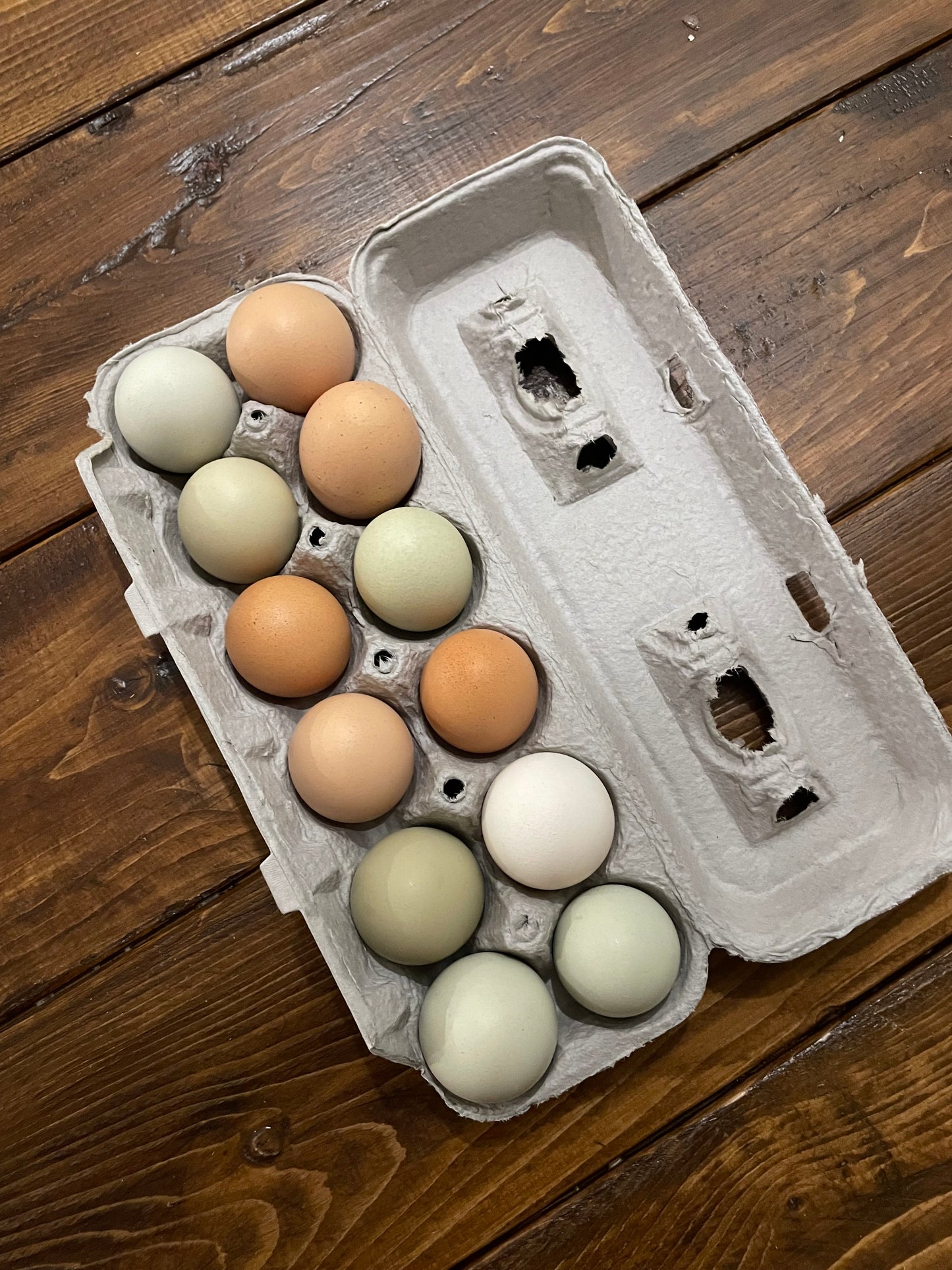 Farm Fresh Eggs